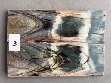 Stabilisiertes Mammutelfenbein - 5